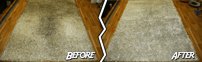 Carpet Cleaning - Williamsbridge 10469